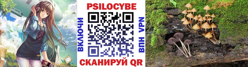 Галлюциногенные грибы GOLDEN TEACHER  Подольск 