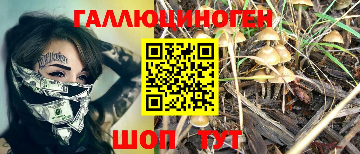 Подольск  Галлюциногенные грибы мицелий  Вход с VPN 