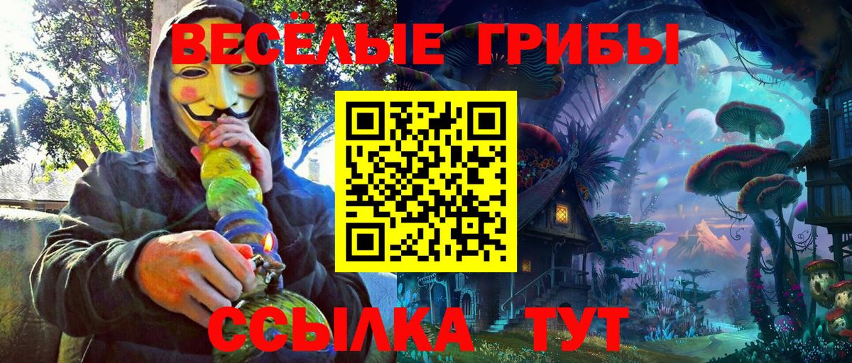 Псилоцибиновые грибы мухоморы Подольск