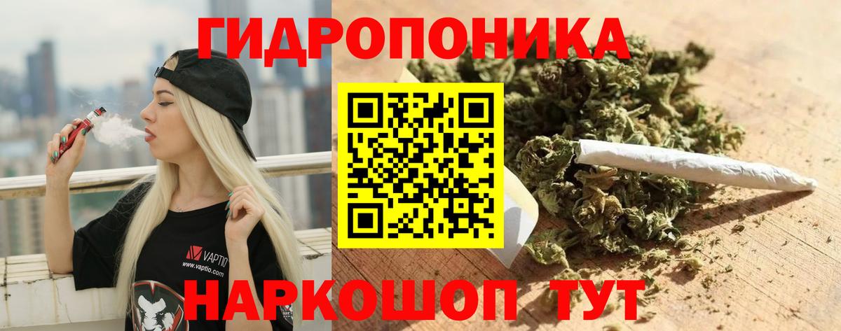 Шишки марихуана ГИДРОПОН Подольск